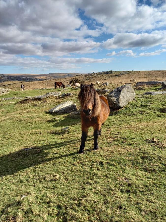 Dartmoor Inn Princetown Exteriör bild